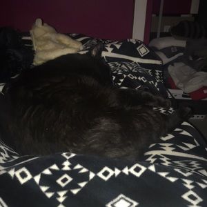 Meet your Posher, Briana